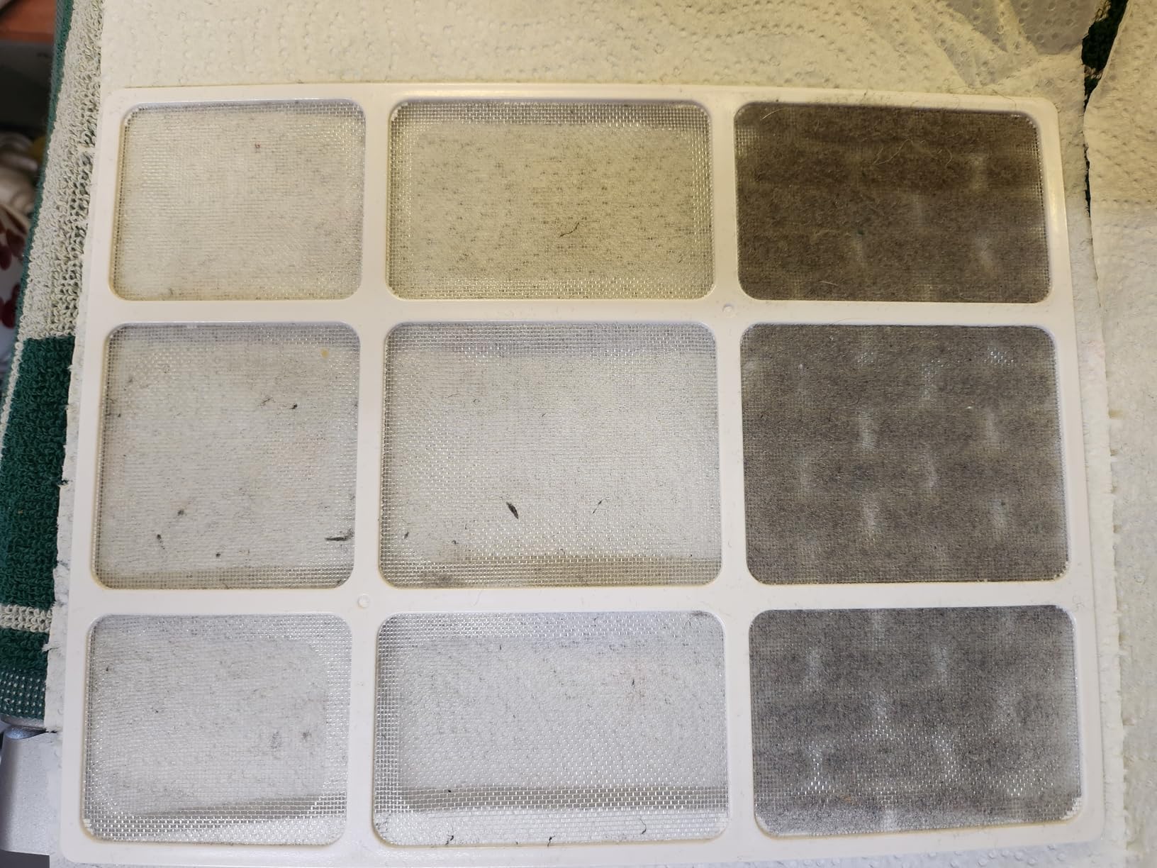 AirEase dehumidifier customer photo 3